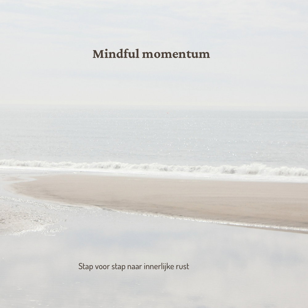 Mindful momentum (1 maand Creditcard)