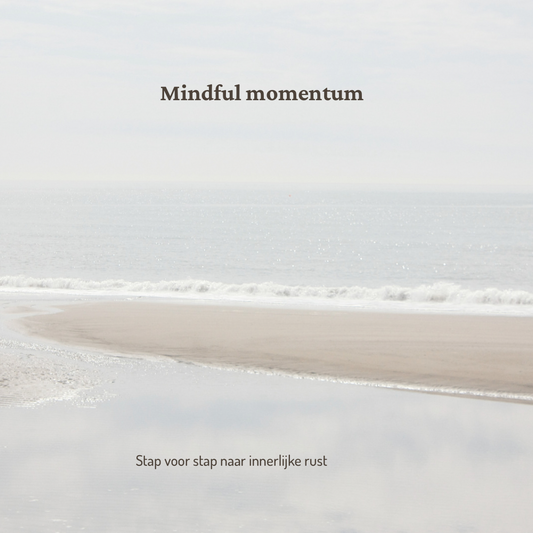 Mindful momentum (1maand IDeal)
